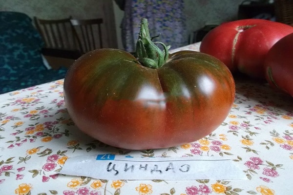 Qingdaon tomaatti