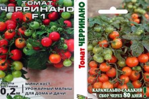 Pomidorų veislės „Cerrinano“ veislės ir jos auginimo būdų aprašymas