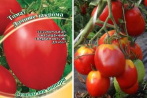Beskrivning av tomatsorten Landsfack och dess egenskaper