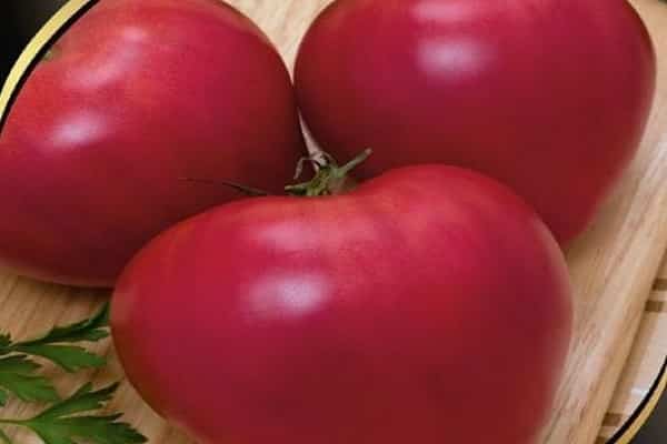 Tomatenliebhaber