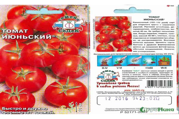 paradajkové semená