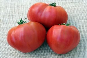 Kosovo pomidorų veislės charakteristikos ir aprašymas