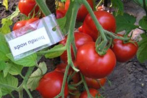 Beskrivning av Cron Prince-tomatsorten och dess egenskaper