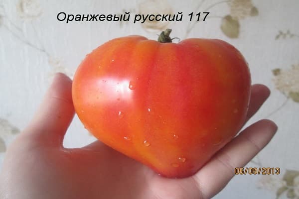 tomatskind