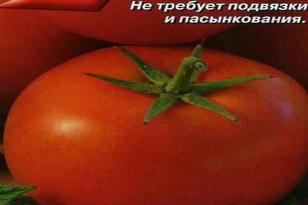 tomātu šķirne