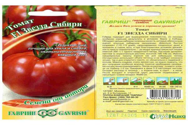tomatstjerne i Sibirien