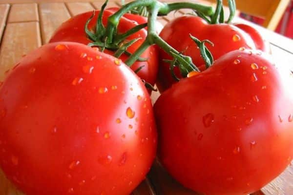 marchand de tomates sur la table