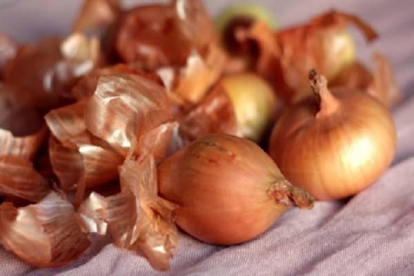 onions and husks