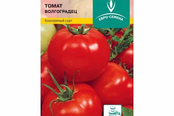 odroda paradajok Volgogradets