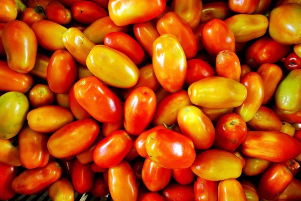 Irenos pomidoro išvaizda