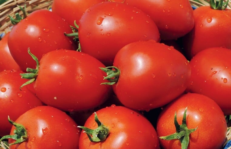 Uiterlijk van Namib-tomaat