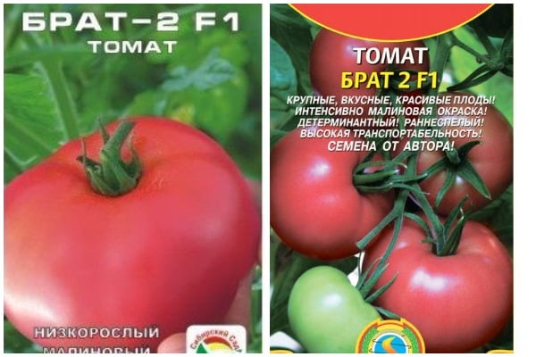 Tomatensamen Bruder 2 f1
