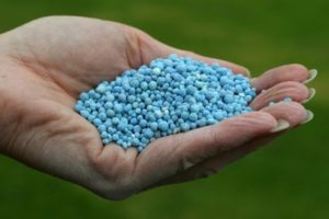 Qué tratar los fertilizantes fosfatados: sus tipos y nombres.