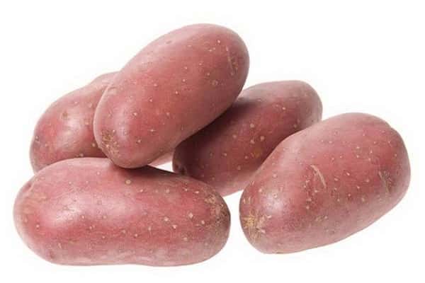Rodrigo aardappelen