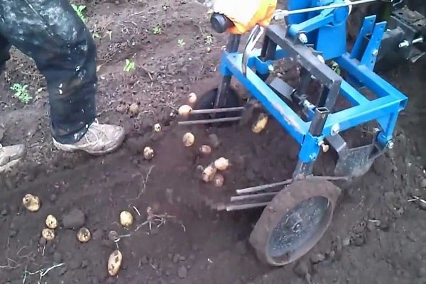 aardappelrooier voor achterlooptrekker