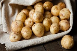 Výhody a poškodenia mladých zemiakov, ako klíčiť a kedy sa pestujú