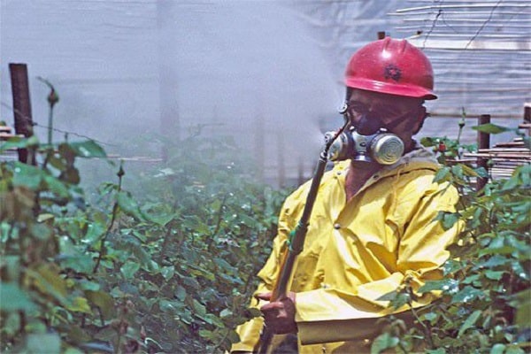 pesticidų naudojimas