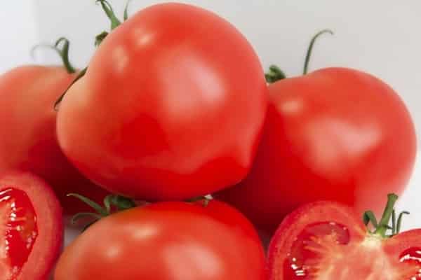paradajka Azov