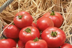 Popis odrůdy rajčat Erofeich růžová, vlastnosti pěstování a péče
