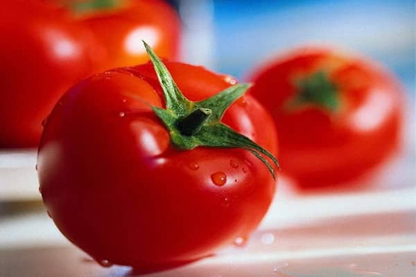 tomate Ksenia