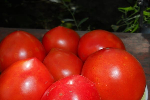 pomidorų valdovas