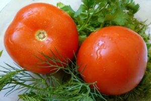 Pomidorų veislės „Maksimka“ aprašymas, auginimas ir priežiūra