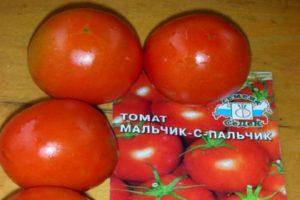 Descrizione della varietà di pomodoro Ragazzo con un dito, caratteristiche di coltivazione e cura