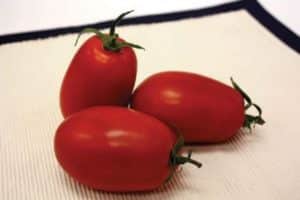 Kuvaus tomaattilajikkeesta Marianna F1, sen ominaisuudet ja sato