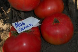 Descrizione della varietà di pomodoro La mia famiglia, caratteristiche di coltivazione e resa