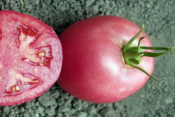 šķirnes tomāts