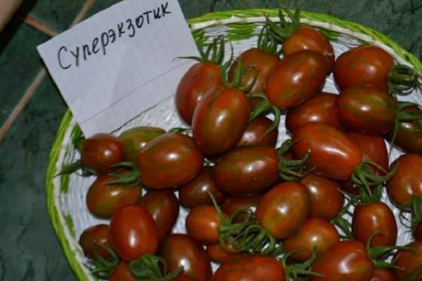 pomidorų supereksotinis