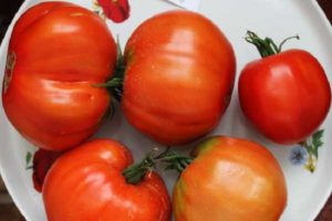 Opis odmiany pomidora Vovchik, cechy uprawy i plon