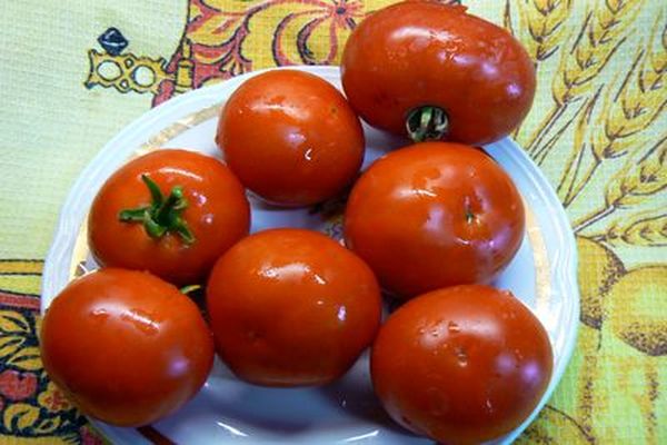 Tomate auf einem Teller