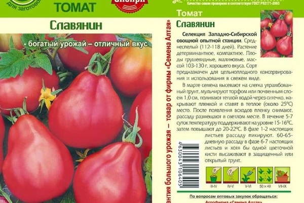 appearance of tomato Slav