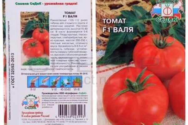 förpackning av frön av tomat wal