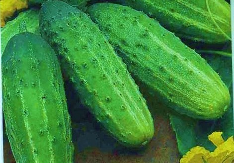 farmer cucumber look