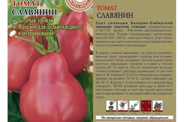 tomato seeds Slav