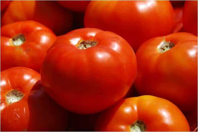 tomates Townsville F1