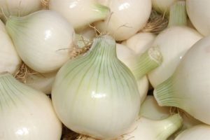 I benefici e i rischi delle cipolle bianche, varietà di varietà, regole di conservazione e raccolta