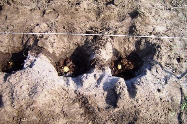 talaj összetétele