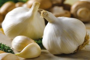 Description of the Gulliver garlic variety, features of cultivation and care