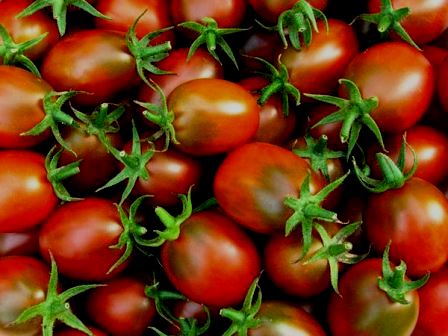 wygląd pomidora Ustinya