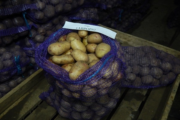 drobivé zemiaky
