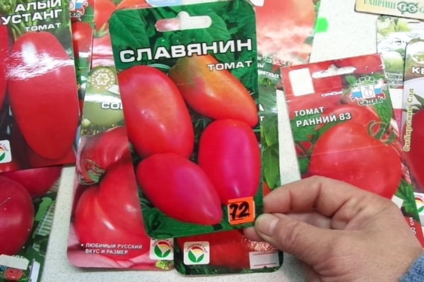 variedad de tomate Slavic