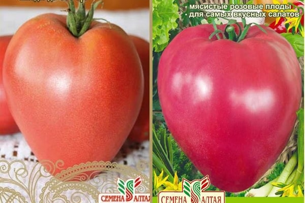 Aussehen der Tomate Royal