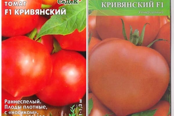 pomidorų sėklos Kriviansky