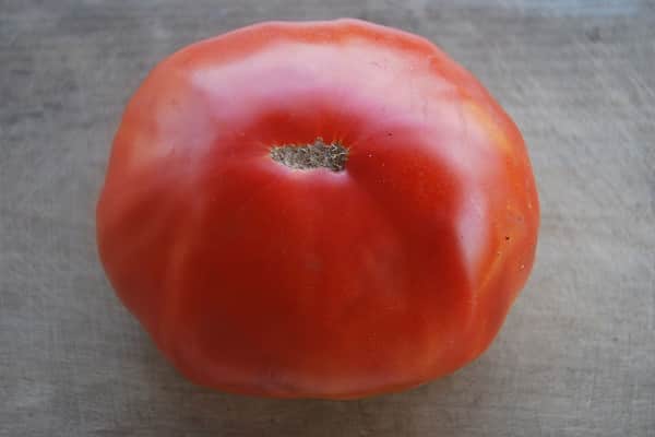 Opis odrody paradajok Barin, znaky pestovania a úrody