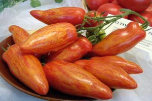Descripción de la variedad de tomate Madness Kasadi, sus características y rendimiento