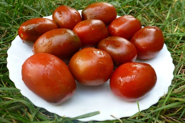 paradajka prerezávať
