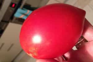 Beskrivning av tomatsorten Darenka, funktioner för odling och skötsel